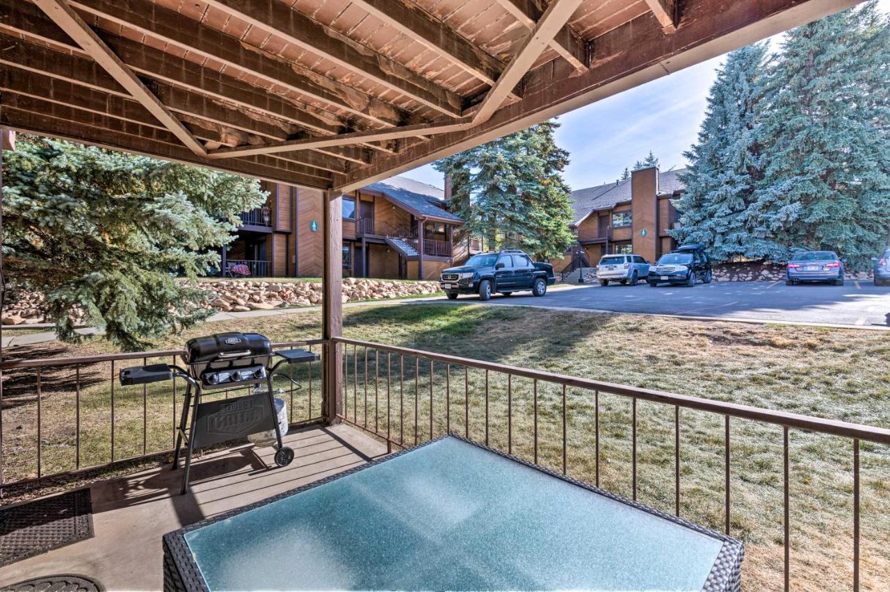 Renovated Park Hike, Bike And Ski! Apartment