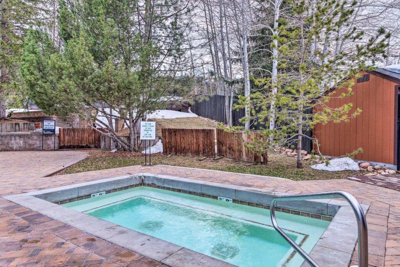 Renovated Park Hike, Bike And Ski! Apartment